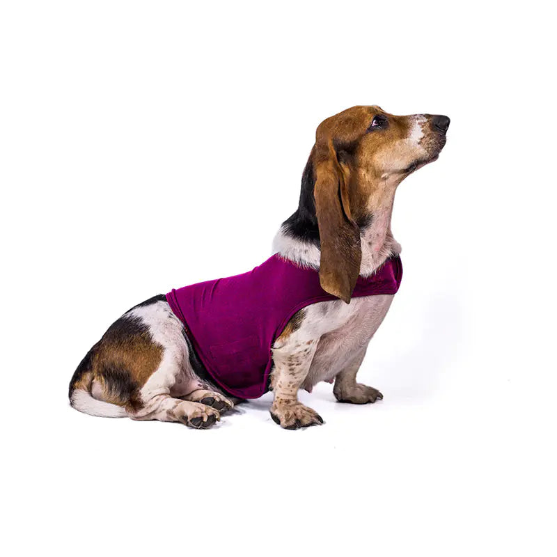 Anxiety Relief Vest for Dogs | Calming Doglest Gear