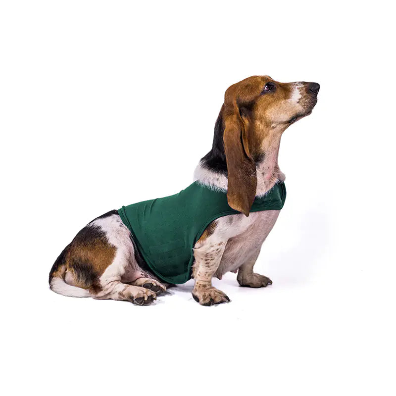 Anxiety Relief Vest for Dogs | Calming Doglest Gear