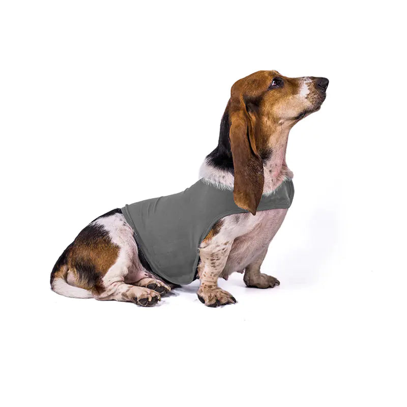 Anxiety Relief Vest for Dogs | Calming Doglest Gear